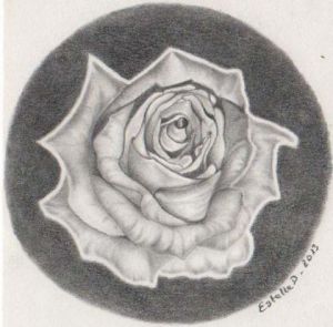 Voir le détail de cette oeuvre: Rose en noir et blanc